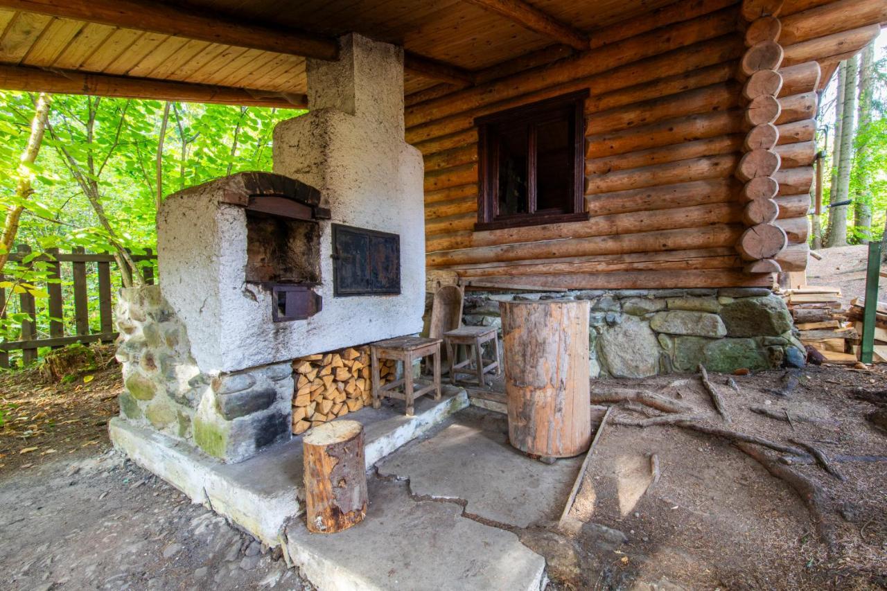 Forest Home Relax Borzont Buitenkant foto