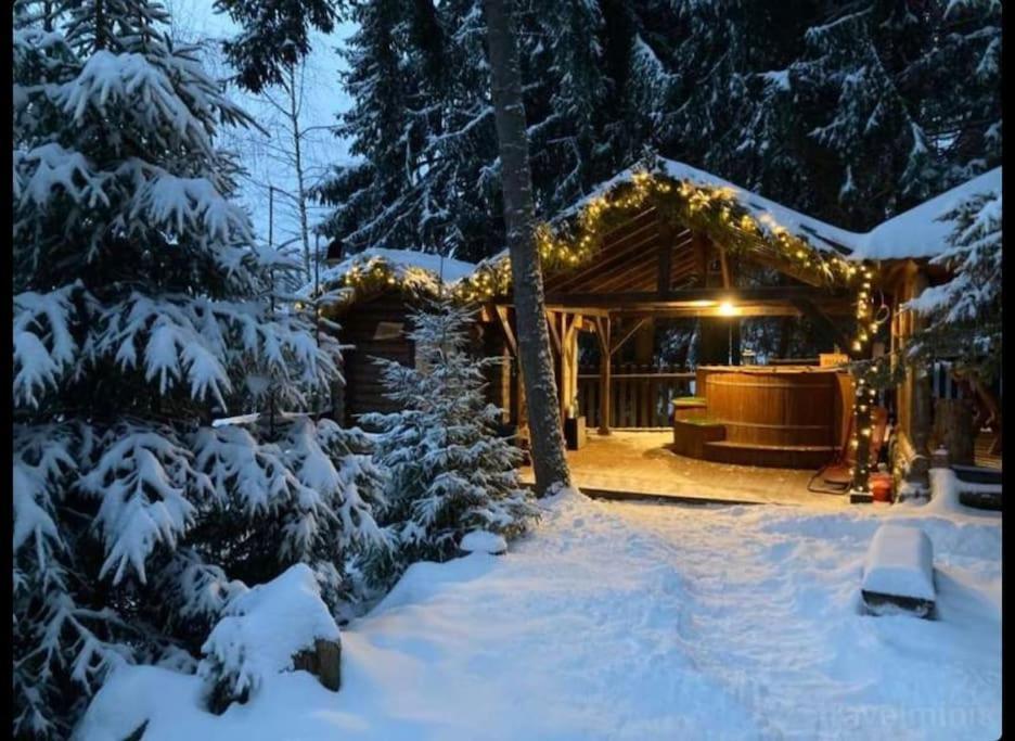 Forest Home Relax Borzont Buitenkant foto