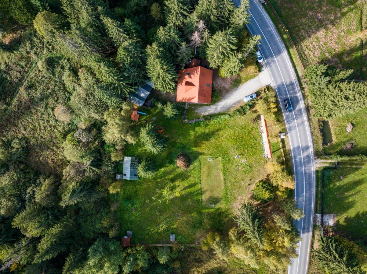 Forest Home Relax Borzont Buitenkant foto